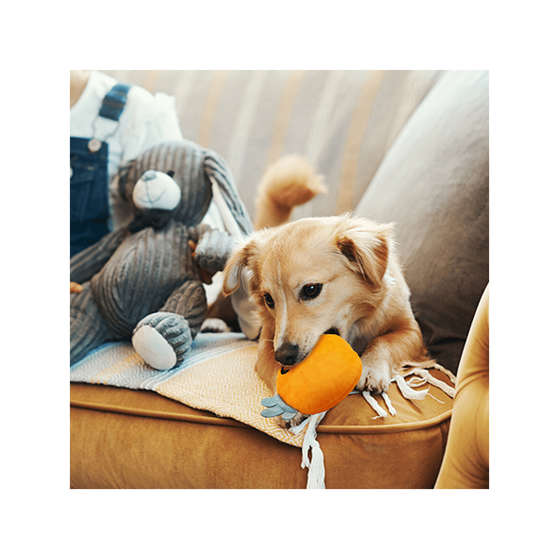 Nobleza pliušinis žaislas šunims