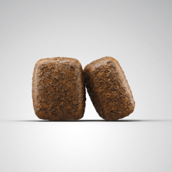 Josera Nature Energetic begrūdis maistas šunims, 12,5 kg