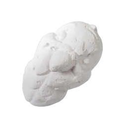 Nobleza kalcis papūgoms, 6x4 cm