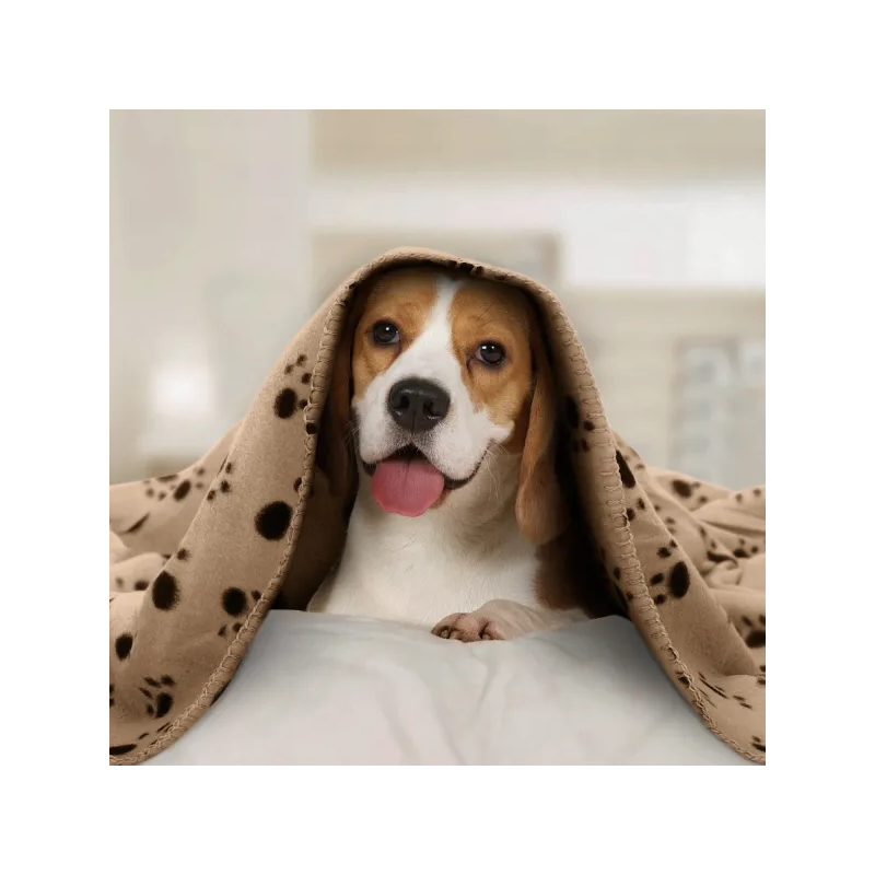 Nobleza pledas šunims, katėms su pėdutėmis, 75x75 cm