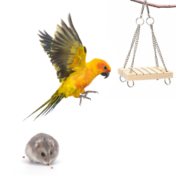 Nobleza medinės sūpynės paukščiams ir graužikams