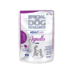 Special Dog Excellence...