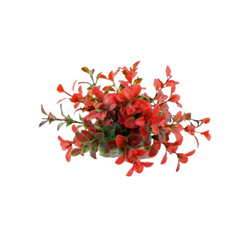 Happet raudonas, dirbtinis augalas akvariumams, 10 cm