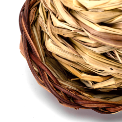 Nobleza nendrinis namelis papūgoms