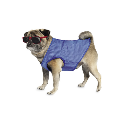 Nobby vėsinanti liemenė šunims, 20 cm