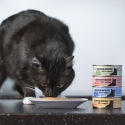 Comfy Appetit Premium konservai katėms su kalakutiena, 85 g