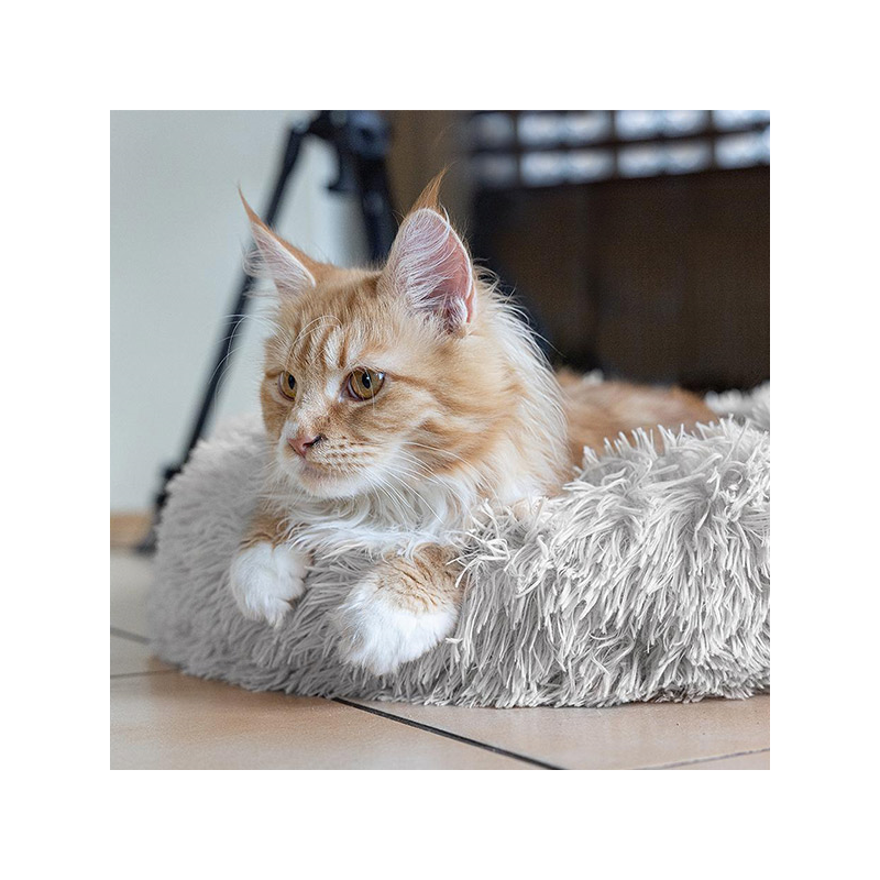 Happet pilkas guolis augintiniui, 50 cm