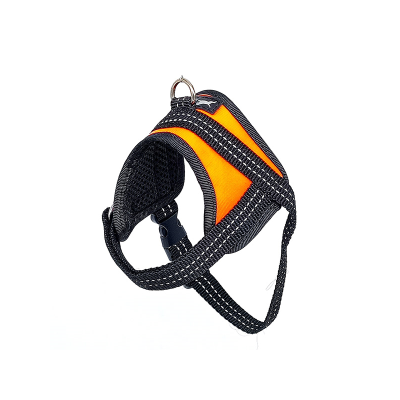 Fleksas oranžinės petnešos šunims, XS, 35 cm