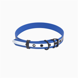 Fleksas mėlynas, biotano...