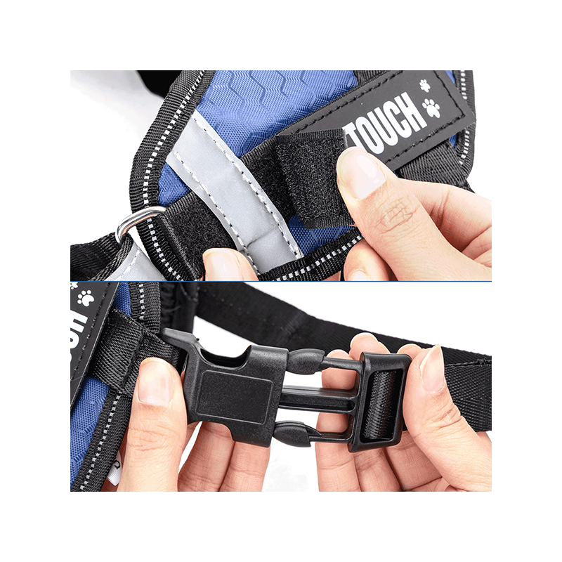 Nobleza „Do not touch“ petnešos šuniui, M, 55–72 cm