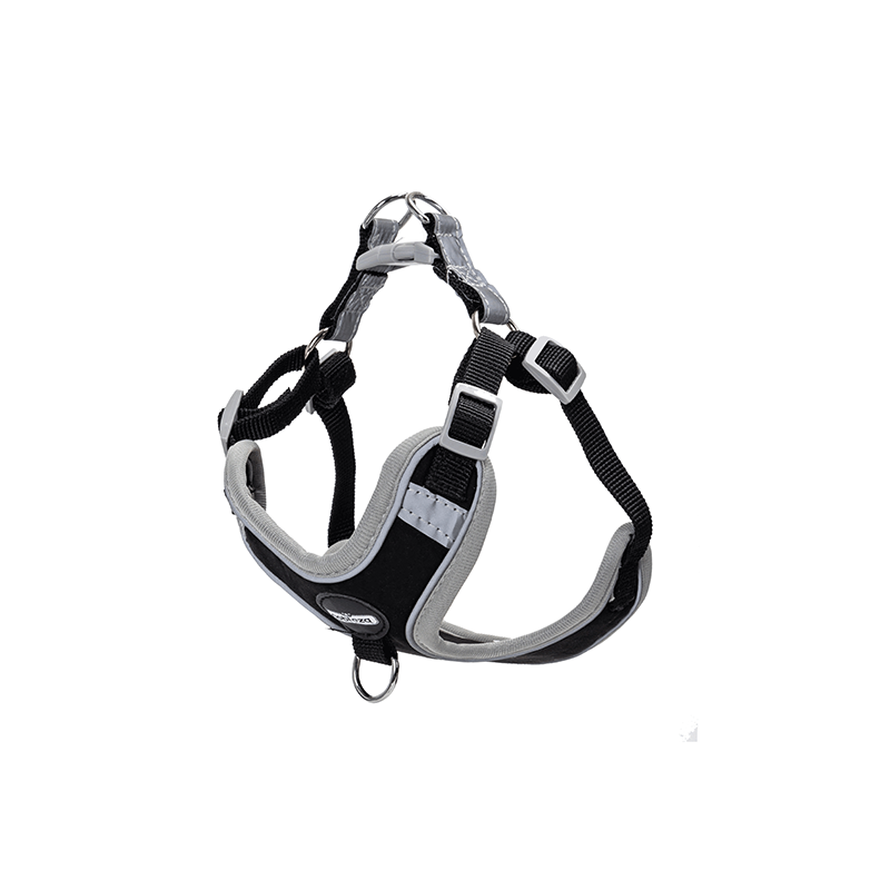 Nobleza petnešos šuniui, XXS