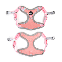 Nobleza petnešos šuniui, XXS