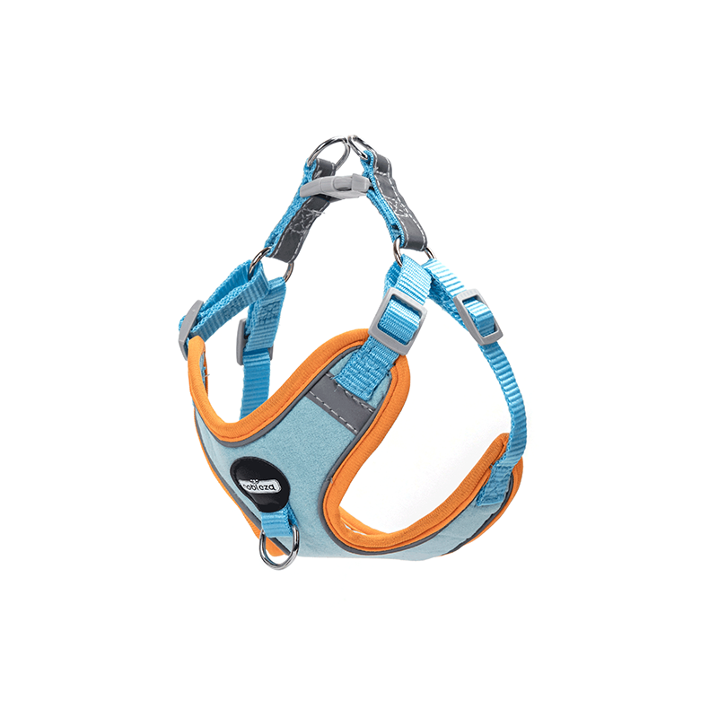 Nobleza petnešos šuniui, XS