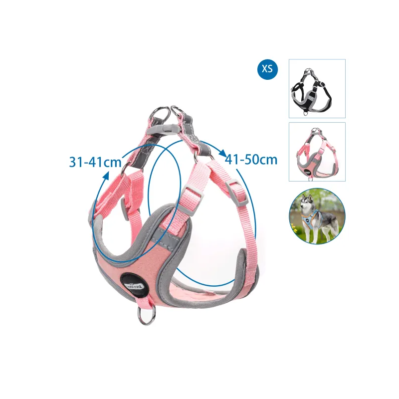 Nobleza petnešos šuniui, XS