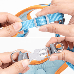 Nobleza petnešos šuniui, S