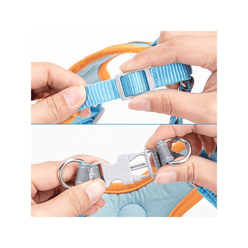 Nobleza petnešos šuniui, S