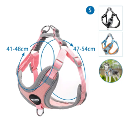 Nobleza petnešos šuniui, S