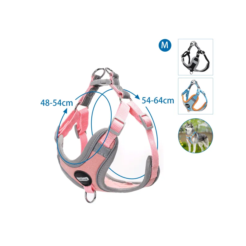 Nobleza petnešos šuniui, M