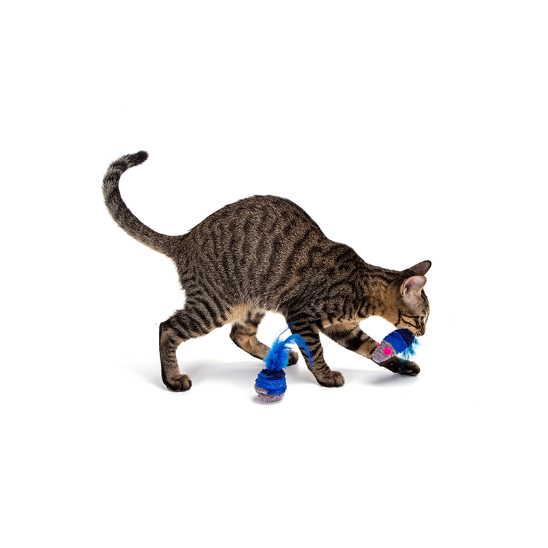 Nobleza mėlynas žaislas su plunksnomis katėms