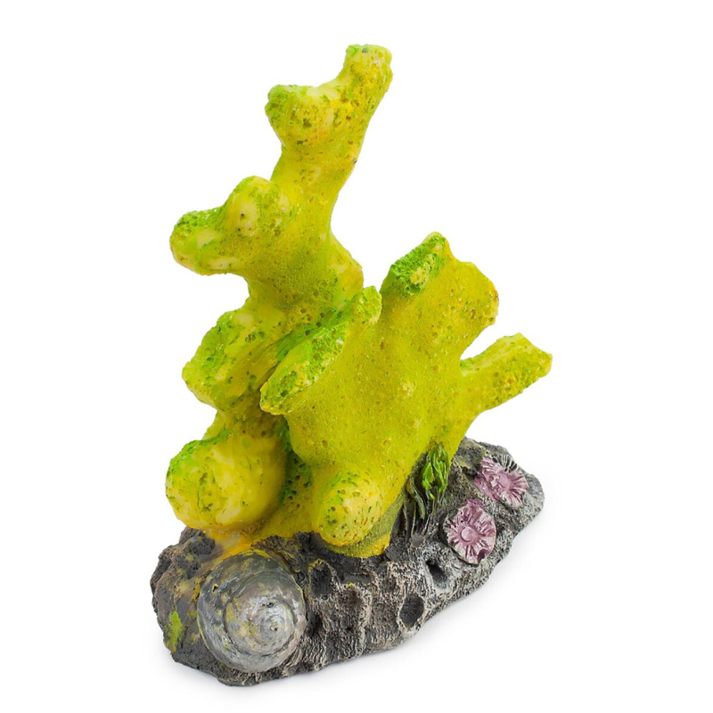 Happet geltonas koralas akvariumo dekoracija