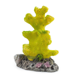 Happet geltonas koralas akvariumo dekoracija