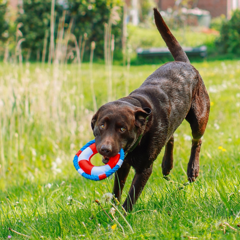 Nobby plūduriuojantis ratas žaislas šunims, 20 cm