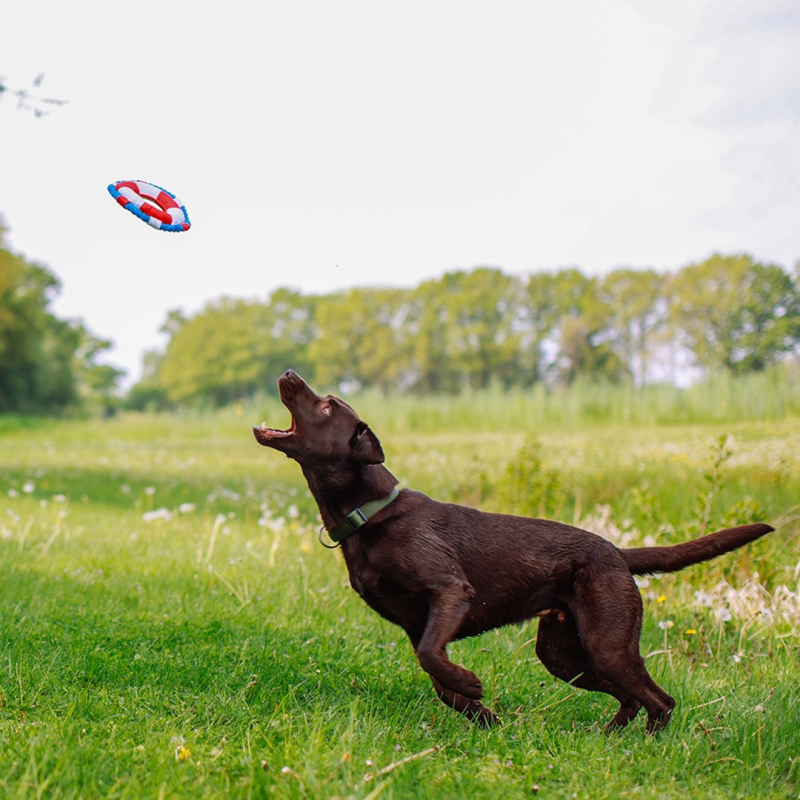 Nobby plūduriuojantis ratas žaislas šunims, 20 cm