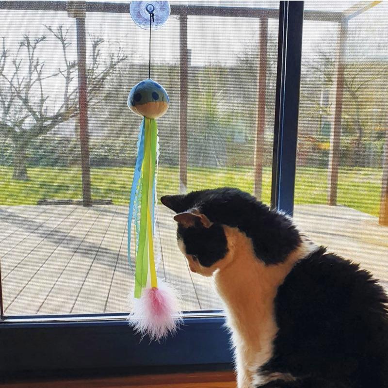 Nobby pliušinis žaislas su katžole katėms