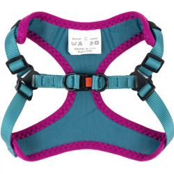 Comfy turkio spalvos petnešos šunims, S