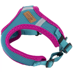 Comfy turkio spalvos petnešos šunims, XXS