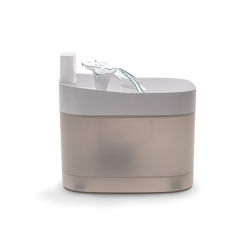 Comfy CatSpring vandens...