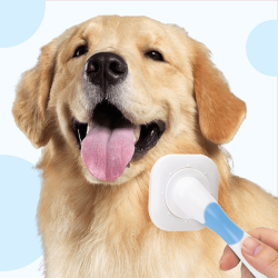 Nobleza šukos su besisukančia galvute augintiniams, 6,5x15 cm