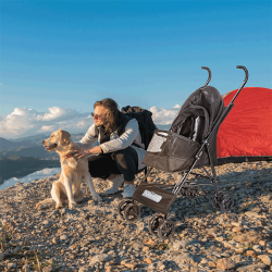 Nobleza sulankstomas, kelioninis vežimėlis augintiniams, 65x42x94 cm