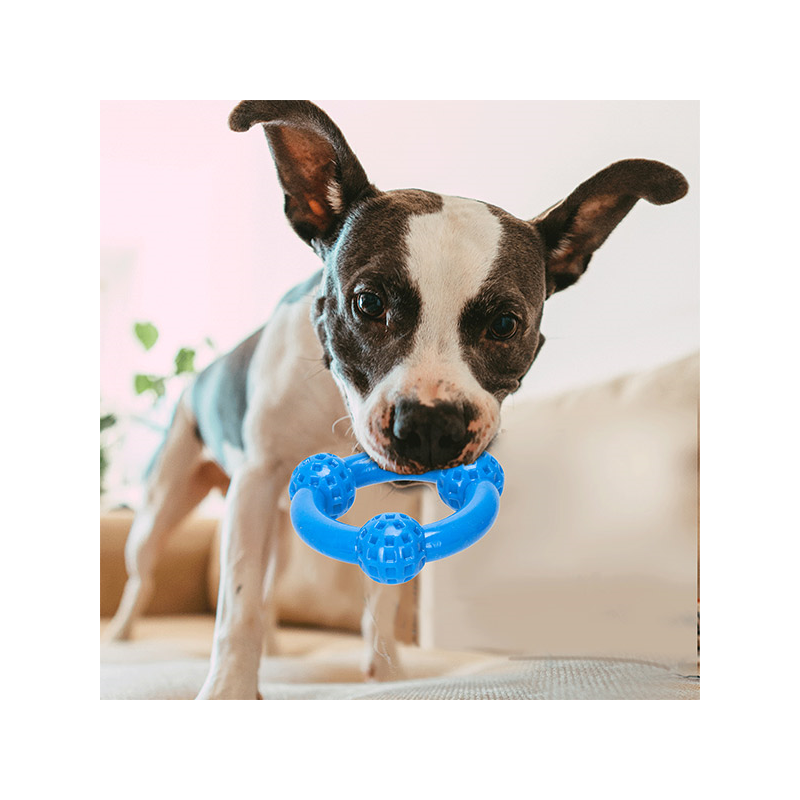 Nobleza kramtymo žaislas šunims, 9,5 cm