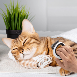 Nobleza sąvėlų šukos ilgaplaukiams šunims, katėms