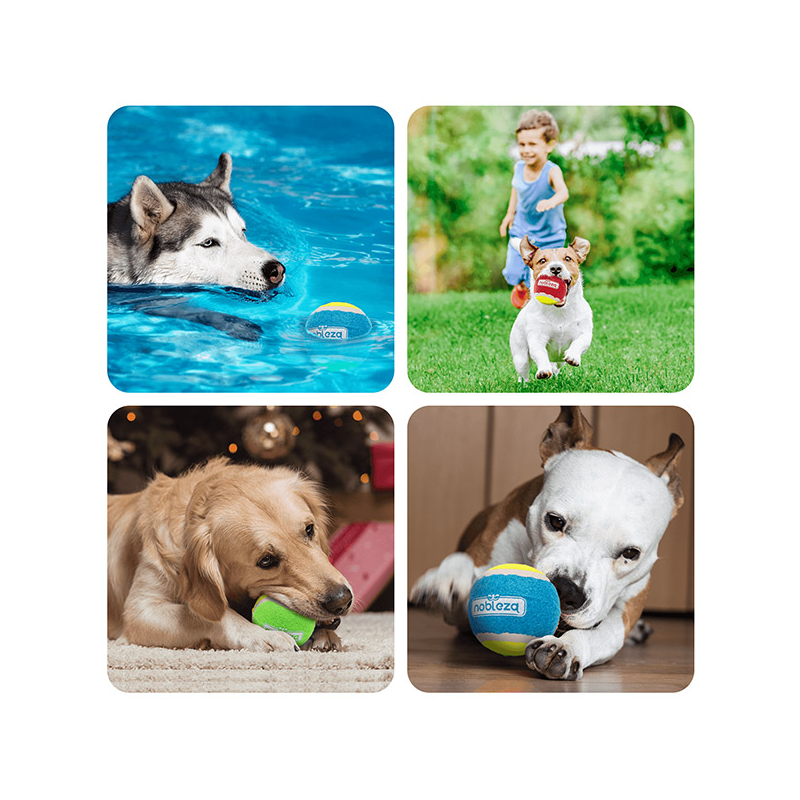 Nobleza teniso kamuoliukai šunims, 3 vnt.