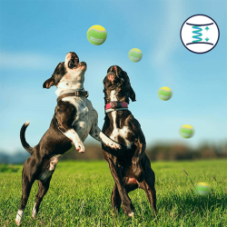 Nobleza teniso kamuoliukai šunims, 3 vnt.