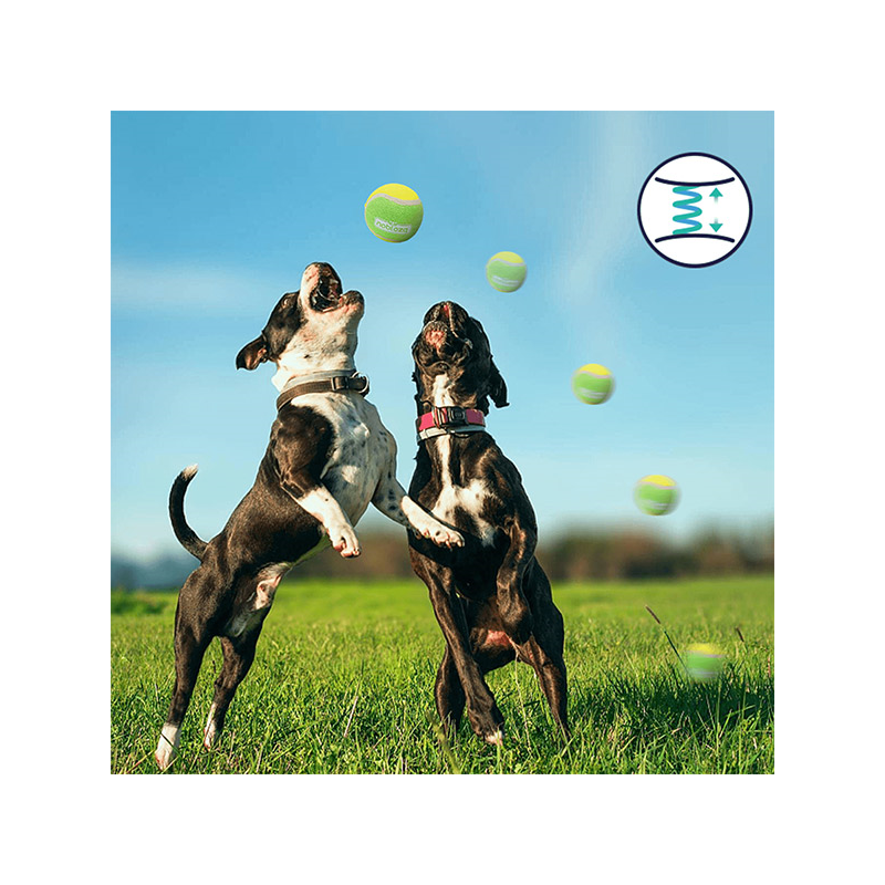 Nobleza teniso kamuoliukai šunims, 3 vnt.