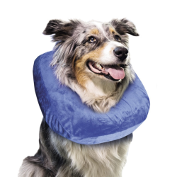 Nobby pripučiama apsauginė apykaklė augintiniams, S