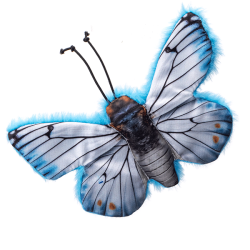 Nobleza drugelis su katžole žaislas katėms, 1 vnt.