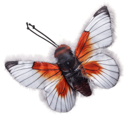 Nobleza drugelis su katžole žaislas katėms, 1 vnt.