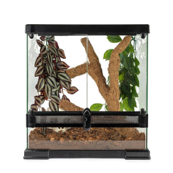 Happet Coconut Branch kokoso šaka terariumams, 40 cm