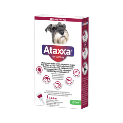 Ataxxa užlašinamas tirpalas...