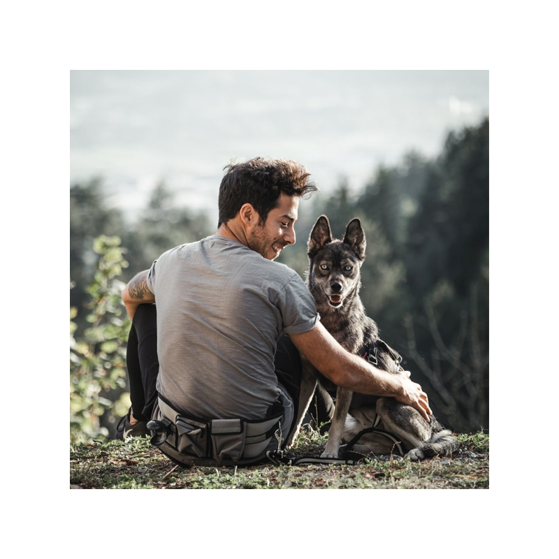 Nobby Expert laisvų rankų pavadėlis šunims su diržu per juosmenį, 52x14 cm