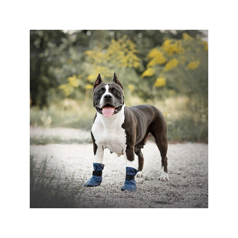 Amiplay Bristol raudoni batai šunims, M, 2 vnt.