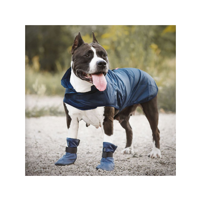 Amiplay Bristol mėlynas lietpaltis šuniui, 32 cm
