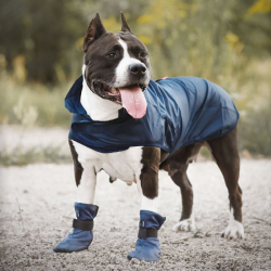 Amiplay Bristol raudonas lietpaltis šuniui, 27 cm