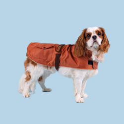 Amiplay Coat Bled mėlynas paltas šuniui, 27 cm