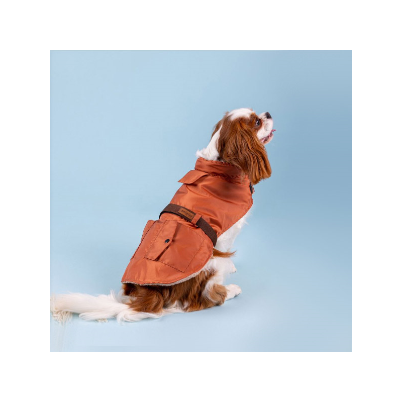 Amiplay Coat Bled oranžinis paltas šuniui, 23 cm