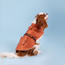 Amiplay Coat Bled oranžinis paltas šuniui, 32 cm